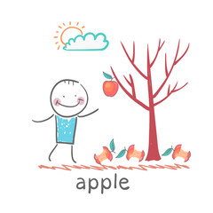 a man stands with a tree on which apples
