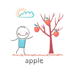 a man stands with a tree on which apples