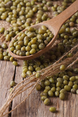 green mung bean in wooden spoon closeup on the table. vertical