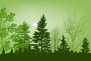 green trees in forest illustration