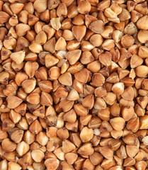 Closeup of buckwheat grains