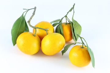 Tangerine isolated on white