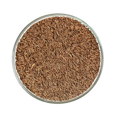 Cumin seeds in glass bowl