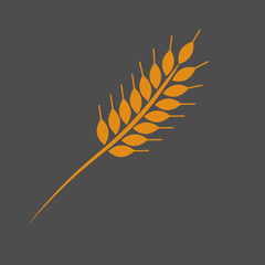 Wheat Ear Vector Illustration