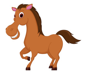 Horse cartoon