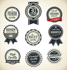 Quality  Retro vintage badge collection