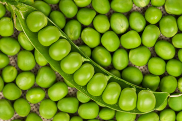 Green peas