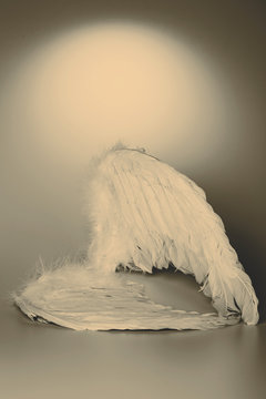 angel's wings on white background with glow
