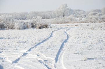 Obraz premium road and hoar-frost on trees in winter