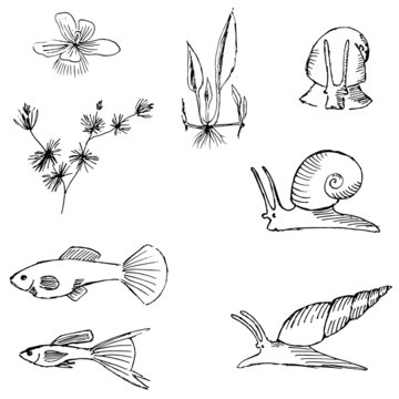 Aquariums image set