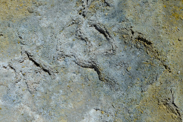 Вулканическая порода кратера Стефанос