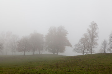 Obraz na płótnie Canvas Foggy landscape