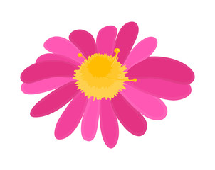 Pink Flower Vector Shape