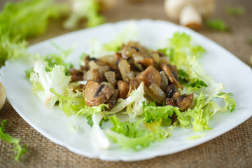 warm salad with mushrooms