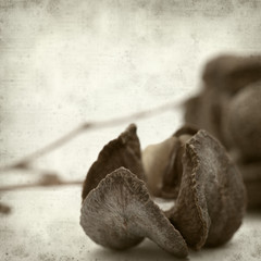 textured old paper background