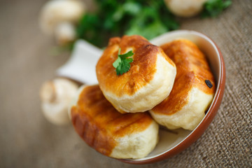 fried patties with mushrooms © Peredniankina