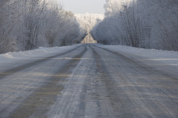 Obraz premium road and hoar-frost on trees in winter