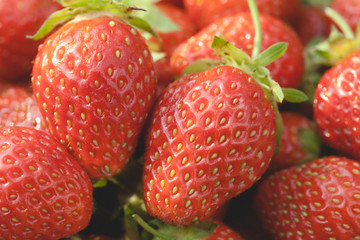 Garden strawberries close-up