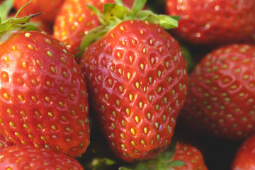 Garden strawberries close-up
