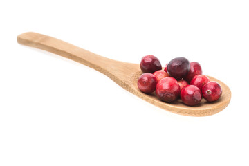 Cranberry