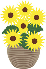 Słoneczniki - ilustracja