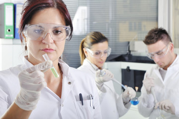 Attractive young PhD students scientists observing in the labora