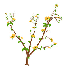 Spring Flowers Branches