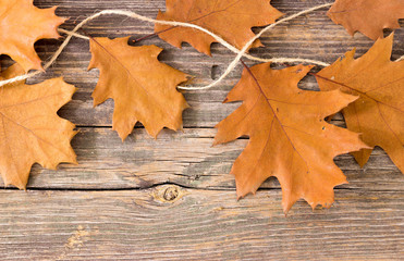 Naklejka na ściany i meble Colorful fall autumn leaves on wood background