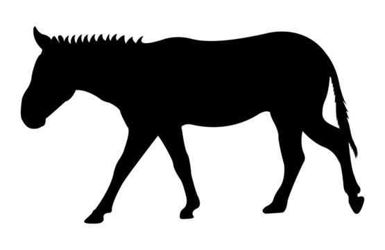 Donkey Animal Shape
