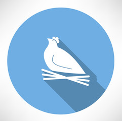 chicken in the nest icon