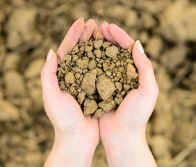 Soil in hands - Environment or agriculture concept