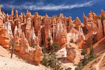 USA - Bryce canyon