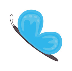 Beautiful Blue Butterfly