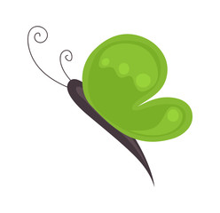 Cartoon Butterfly Vector