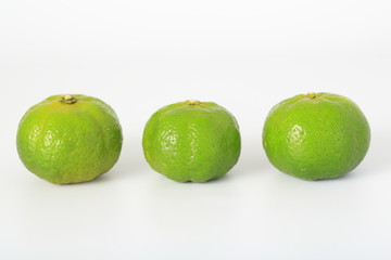 シークアーサー