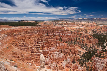 Fototapeta na wymiar USA - Bryce canyon
