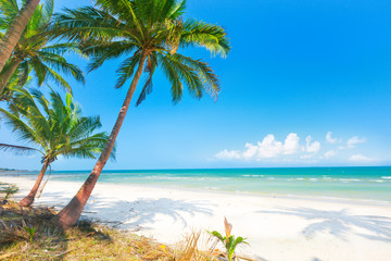 Obraz na płótnie Canvas beautiful beach with coconut palm and sea