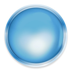 Round Blank Icon