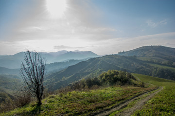Italy: badlands early in the morning