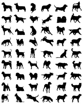 Different black silhouettes of dogs, vector