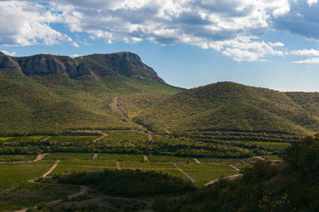 landscape with yellow and green trees against mountains and the
