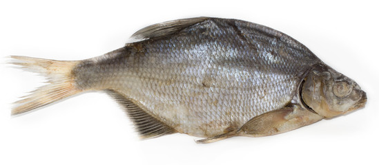 dried fish isolated