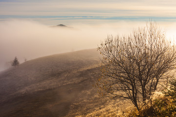 Fog covering the mountain forests