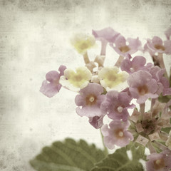 textured old paper background