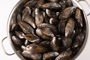 Miesmuscheln