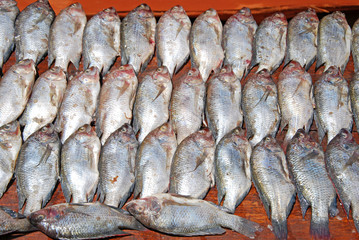 The market of the Village of Pomerini - Fish Market  - Tanzania