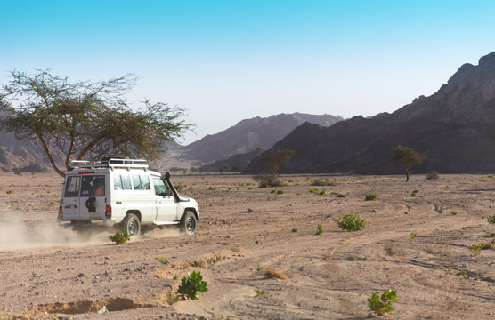 Fototapeta Desert safari