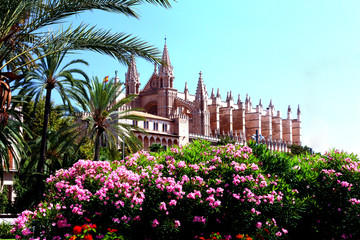 Blick auf Palma de Mallorca © volkerladwig