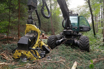 Holzvollernter