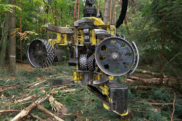 Holzvollernter